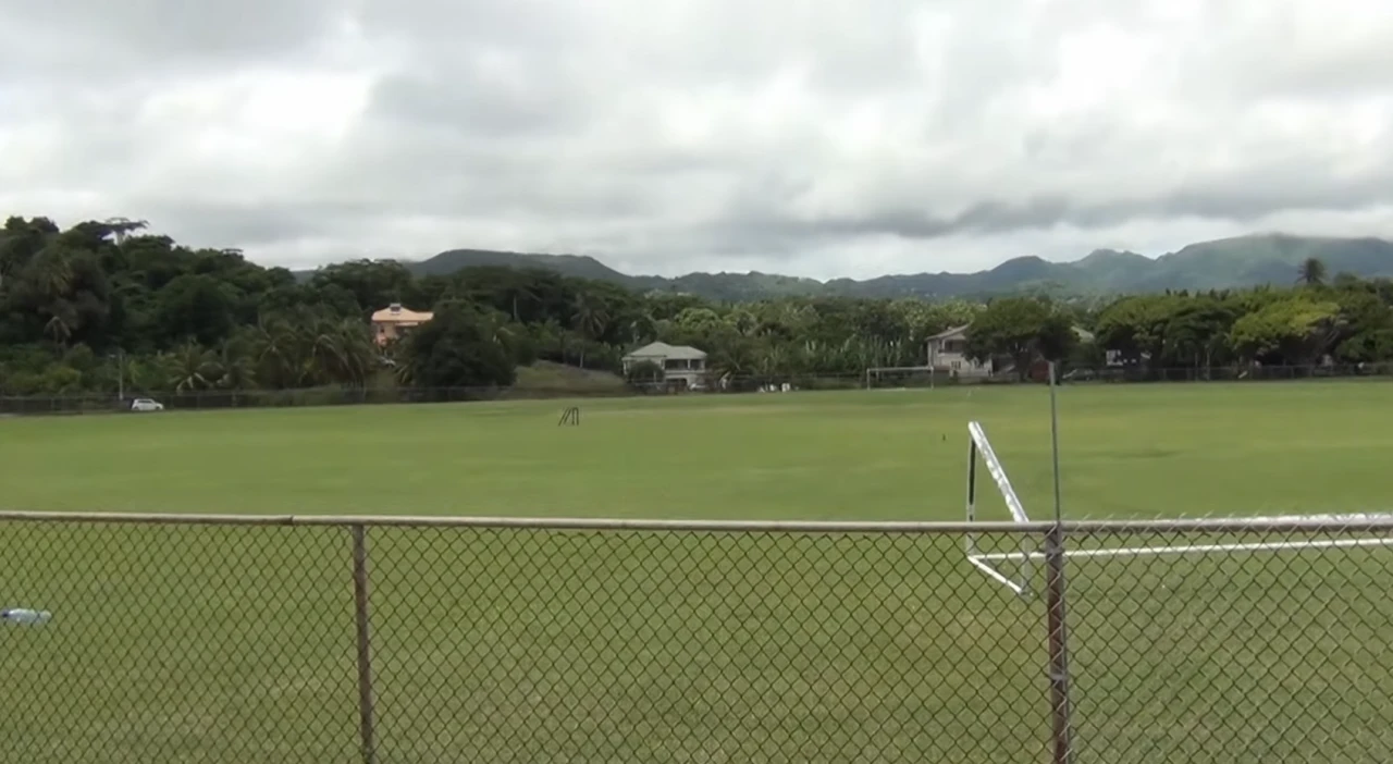 Progress Park, Grenville
