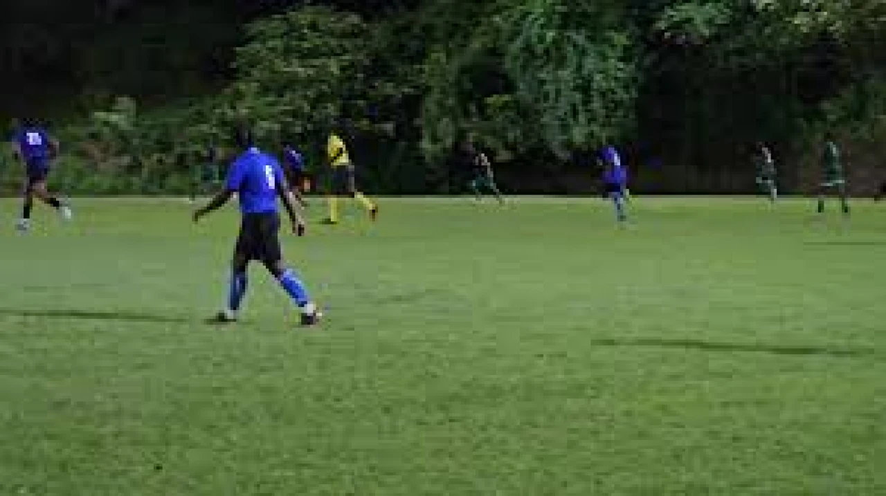 Bellevue Playing Field